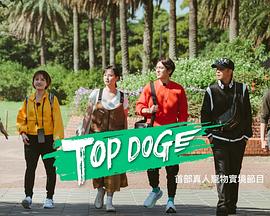 尤物色色导航《TOP DOG》免费在线观看