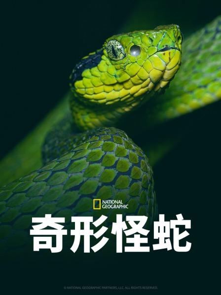 帝王会所《奇形怪蛇》免费在线观看